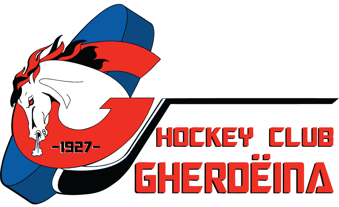 HC Gherdeina 2016-Pres Primary Logo iron on transfers for T-shirts